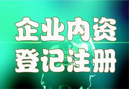 内资有限公司